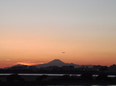 葛西臨海公園から富士山夕焼けと飛行機